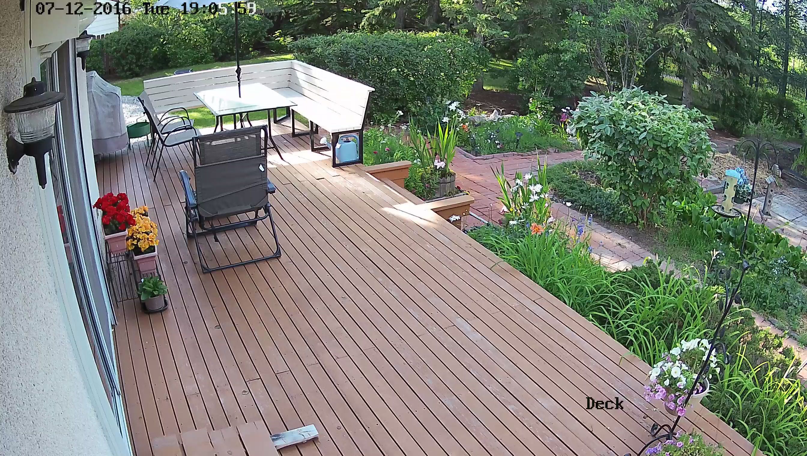 backyard.deck.summer - Action Security Cameras